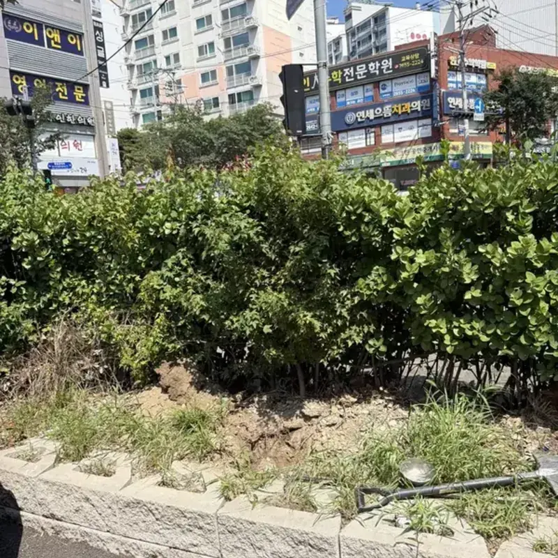 사각지대 반사경 도로변 화단 앞 반사경 설치 시공 전 올곧 시공 사례